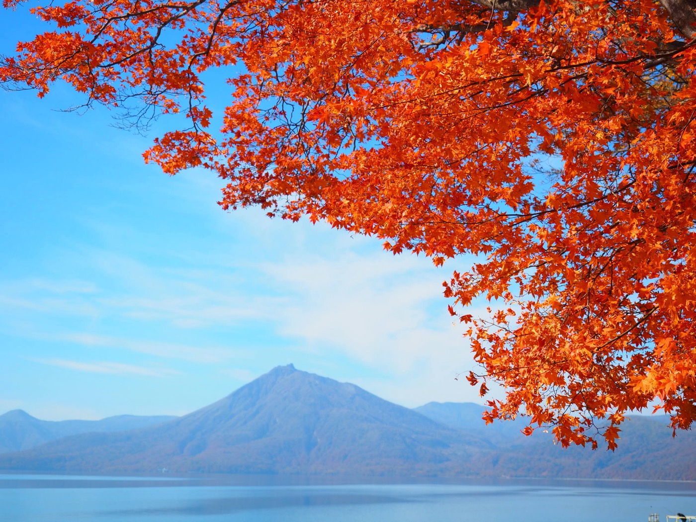 紅葉ごしに望む支笏湖と恵庭岳